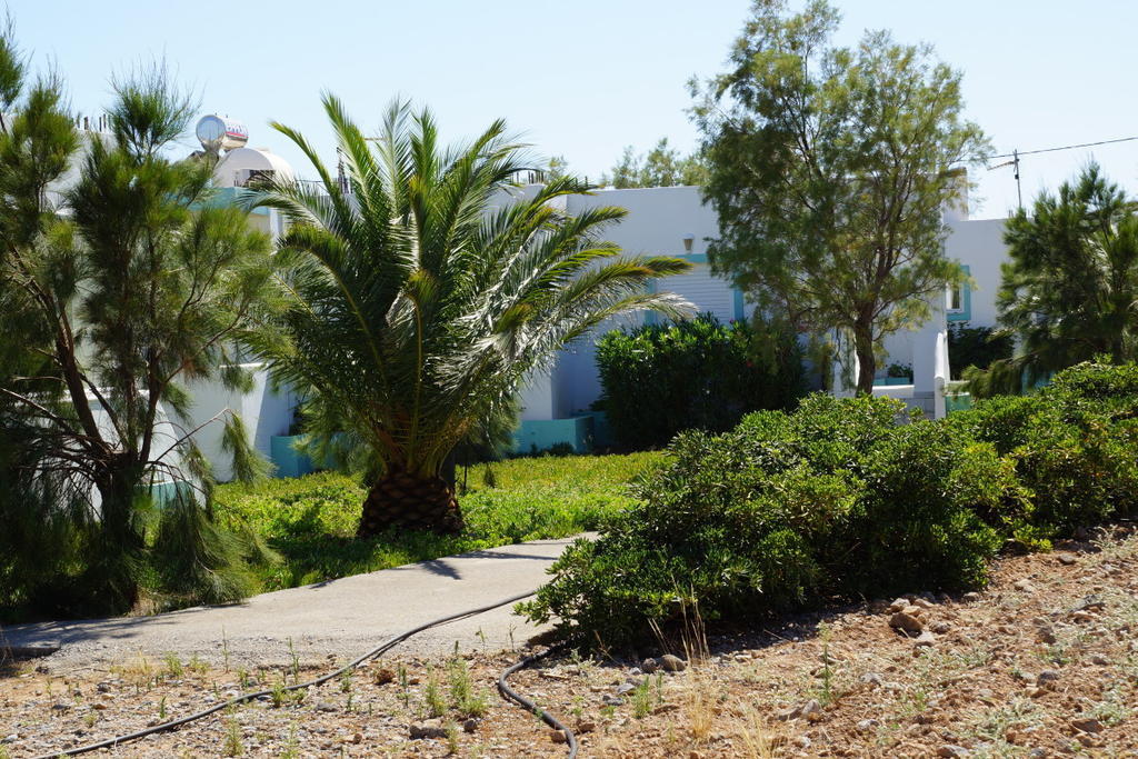 Notos Villas Frangocastelo ห้อง รูปภาพ